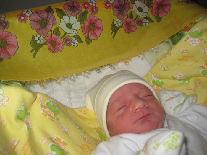 Bebek TEMEL