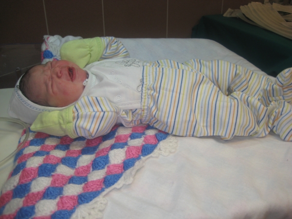 Bebek ASAR