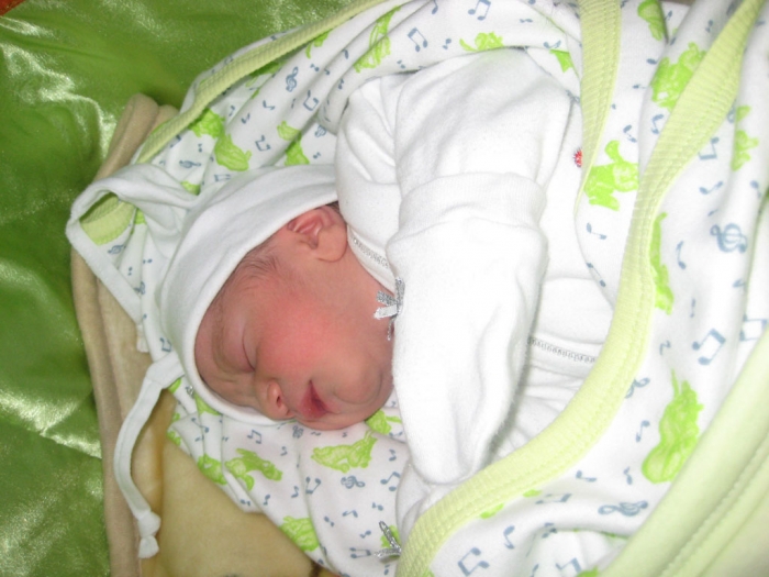 Bebek GEZİCİ