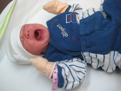 Bebek TOPOĞLU
