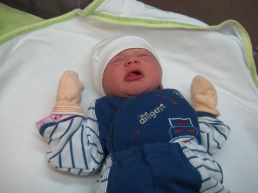 Bebek TOPOĞLU