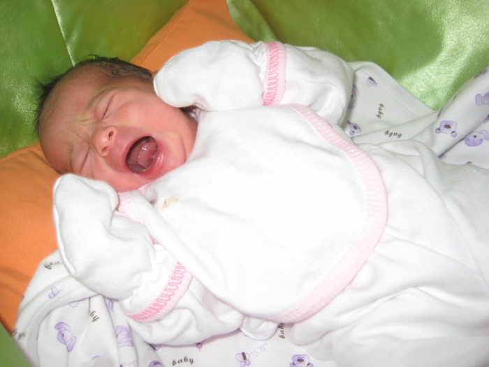 Bebek SEKMEN
