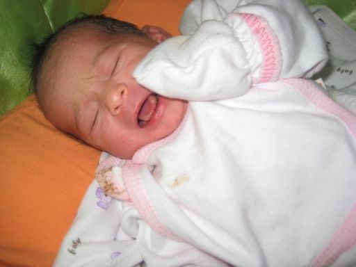 Bebek SEKMEN