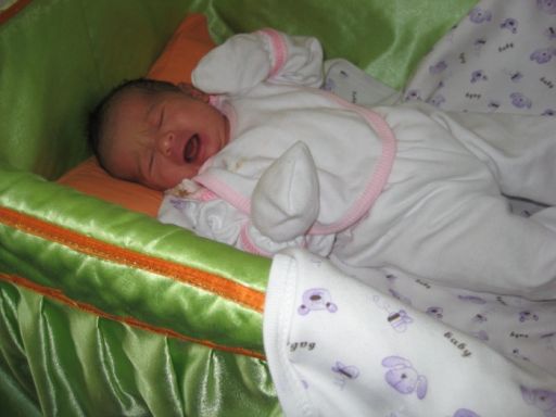 Bebek SEKMEN