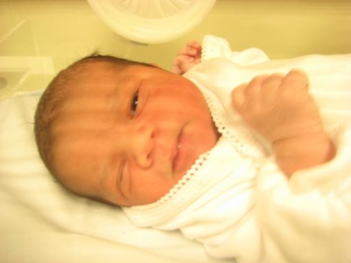 BEBEK KABLAN