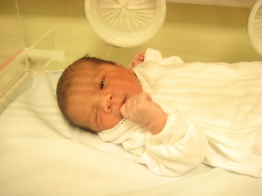 BEBEK KABLAN