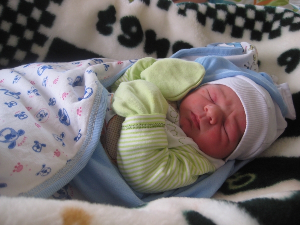 BEBEK GEMRİL