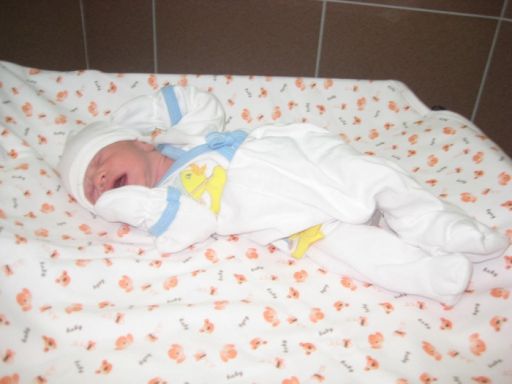 Bebek TOPAKTAŞ