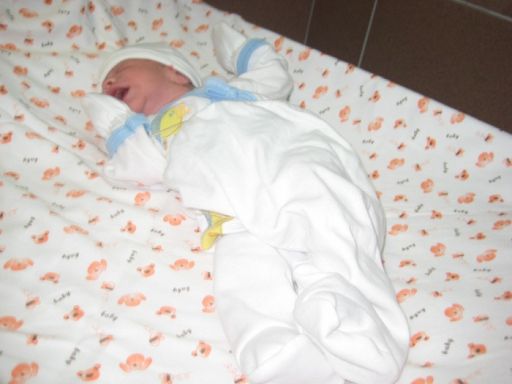 Bebek TOPAKTAŞ