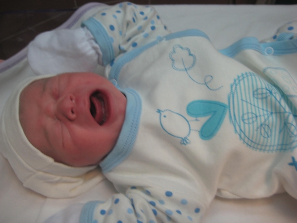 BEBEK SAYGILI