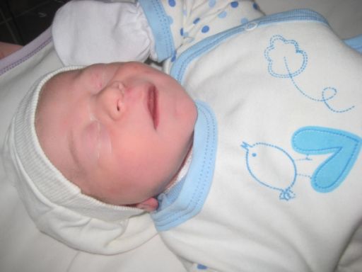 BEBEK SAYGILI