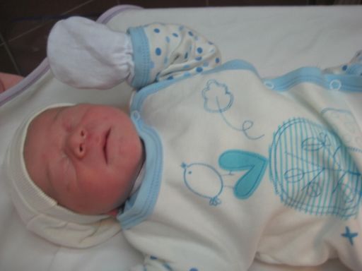BEBEK SAYGILI