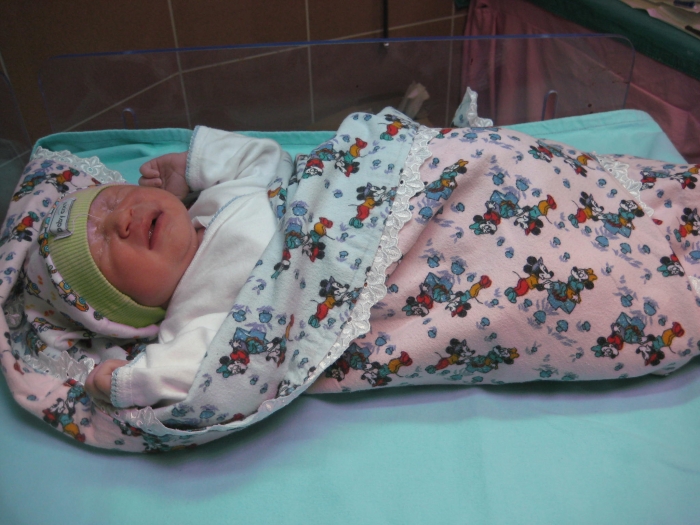 BEBEK DİPİCİ