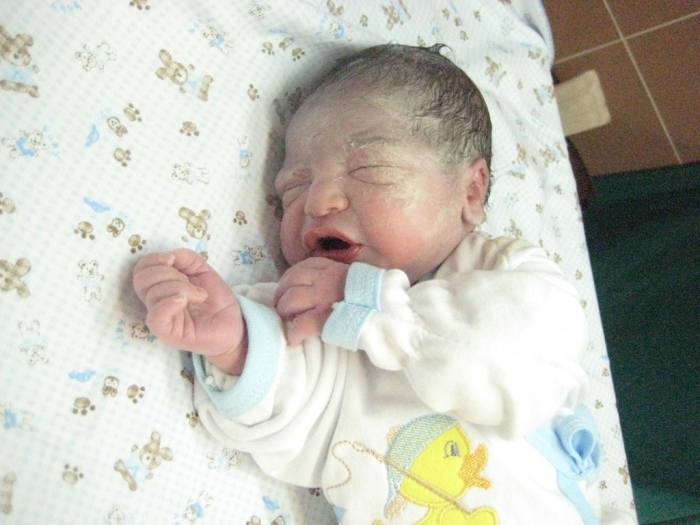BEBEK TANRIKULU