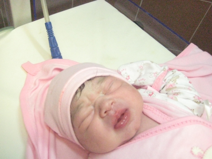 bebek arı