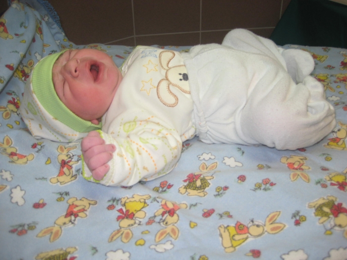 bebek an