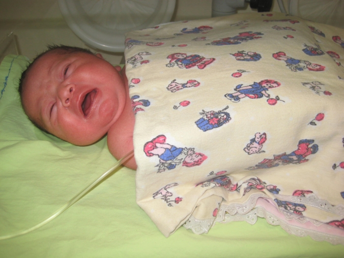 bebek cihangir