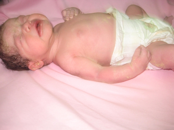 bebek istanbullu