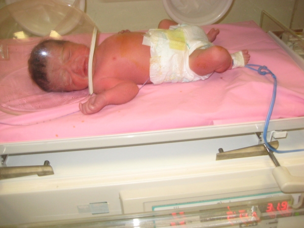 bebek akcan