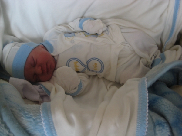 bebek şengül