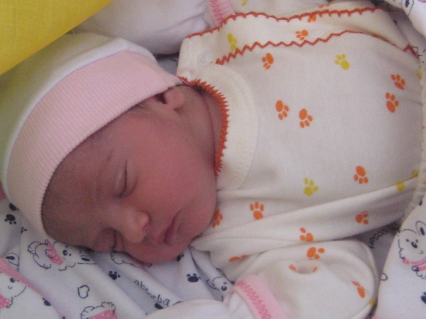 bebek karadağ