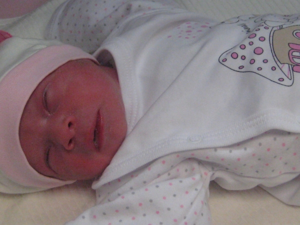 bebek ince