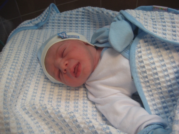 bebek zengin