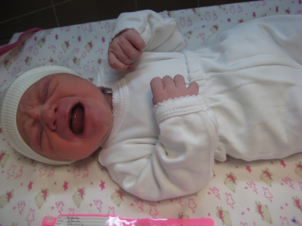 bebek balık