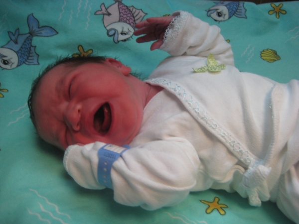 bebek mıstaçoğlu