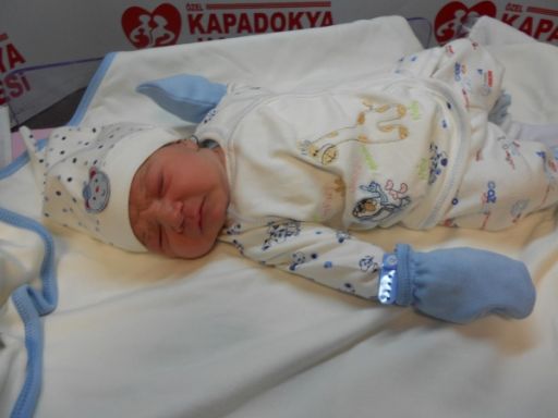 Bebek Karaşahin