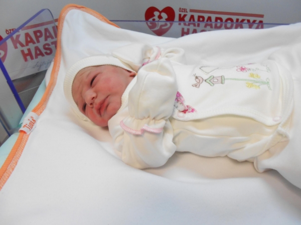 Bebek Uludağ