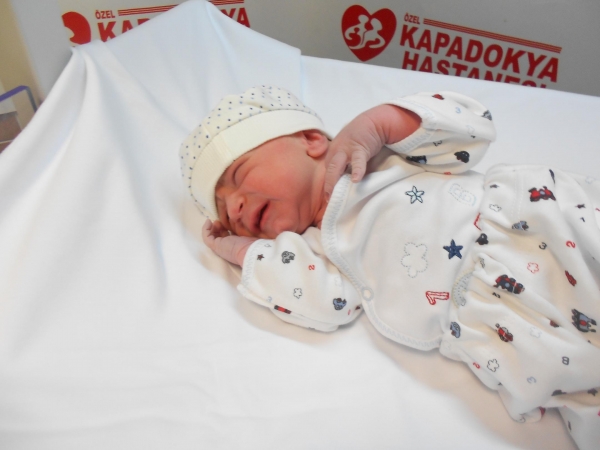 Bebek Harç
