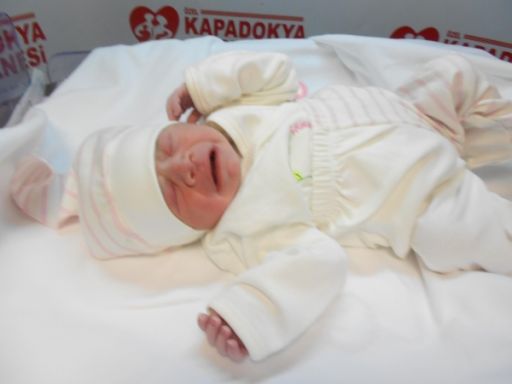 Bebek Karaca