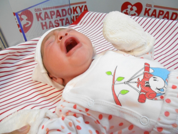 Bebek Büyükhan