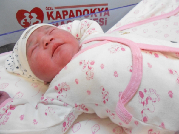 Bebek Erkaya