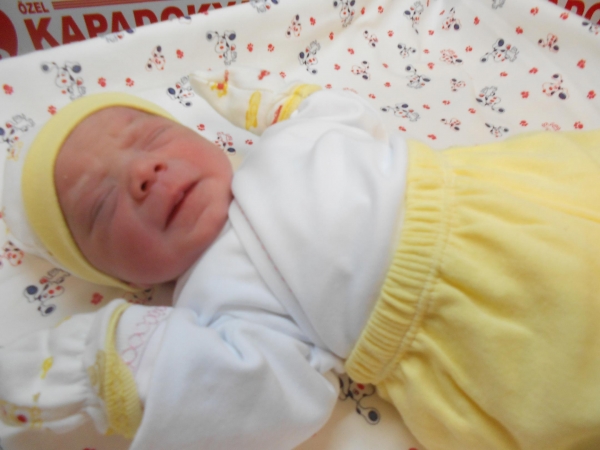 Bebek Atseven
