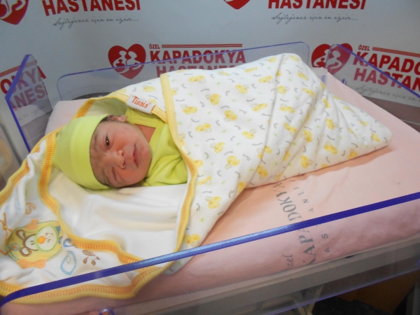 Bebek Kubuk