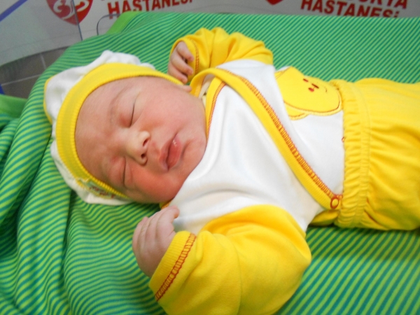 Bebek Gösterişli