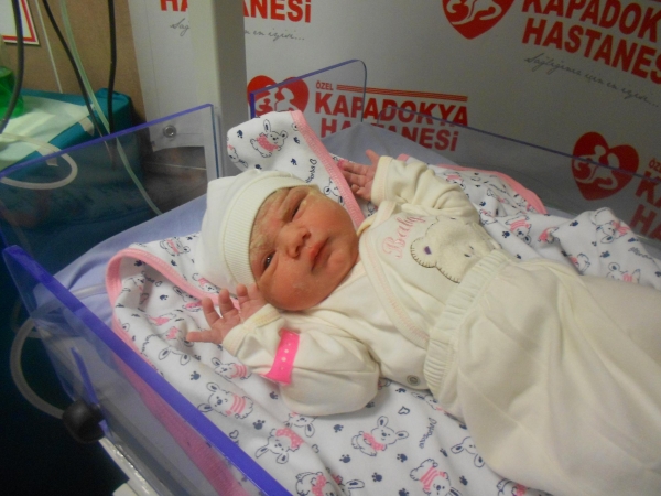 Bebek Nergiz