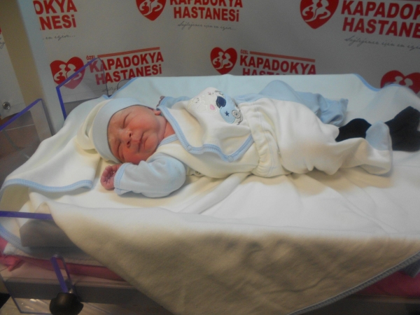 Bebek Koyutürk