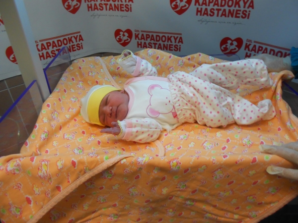 Bebek Koltukçu