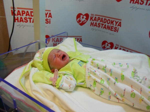 Bebek Yoldaş