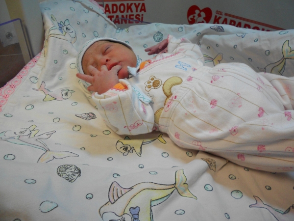 bebek pekbek