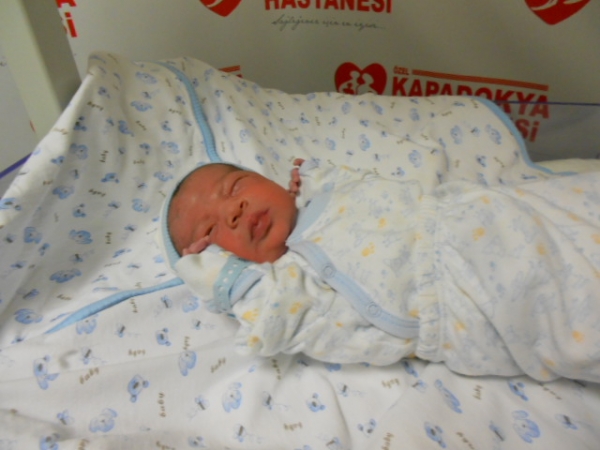 Bebek Arslan
