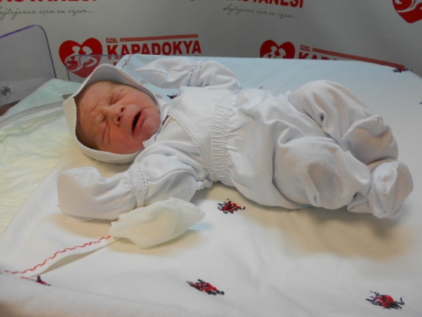 Bebek Kestiren