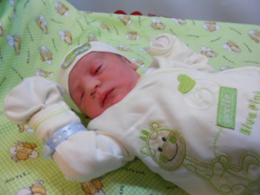 Bebek Yavuz