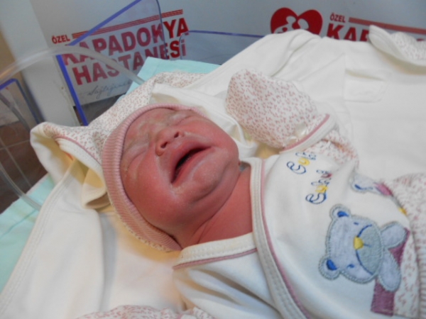 Bebek Mutlu