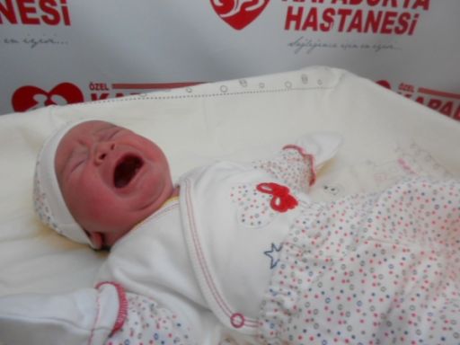 Bebek Çevik