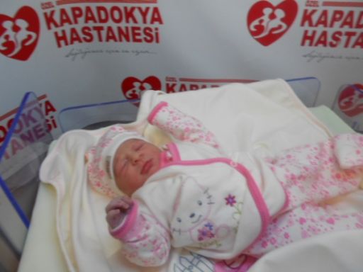 Bebek Aksoy