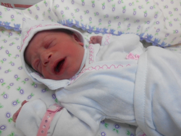 Bebek Mercan